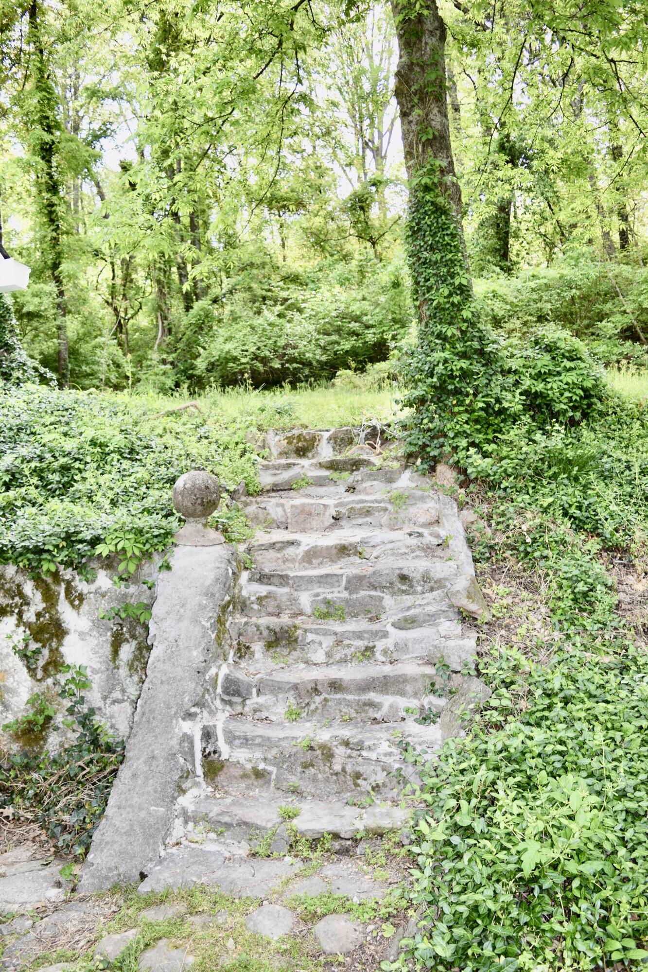 4110 McCahill Road Chattanooga, TN 37415 - Photo 3 of 5 DSC_0796