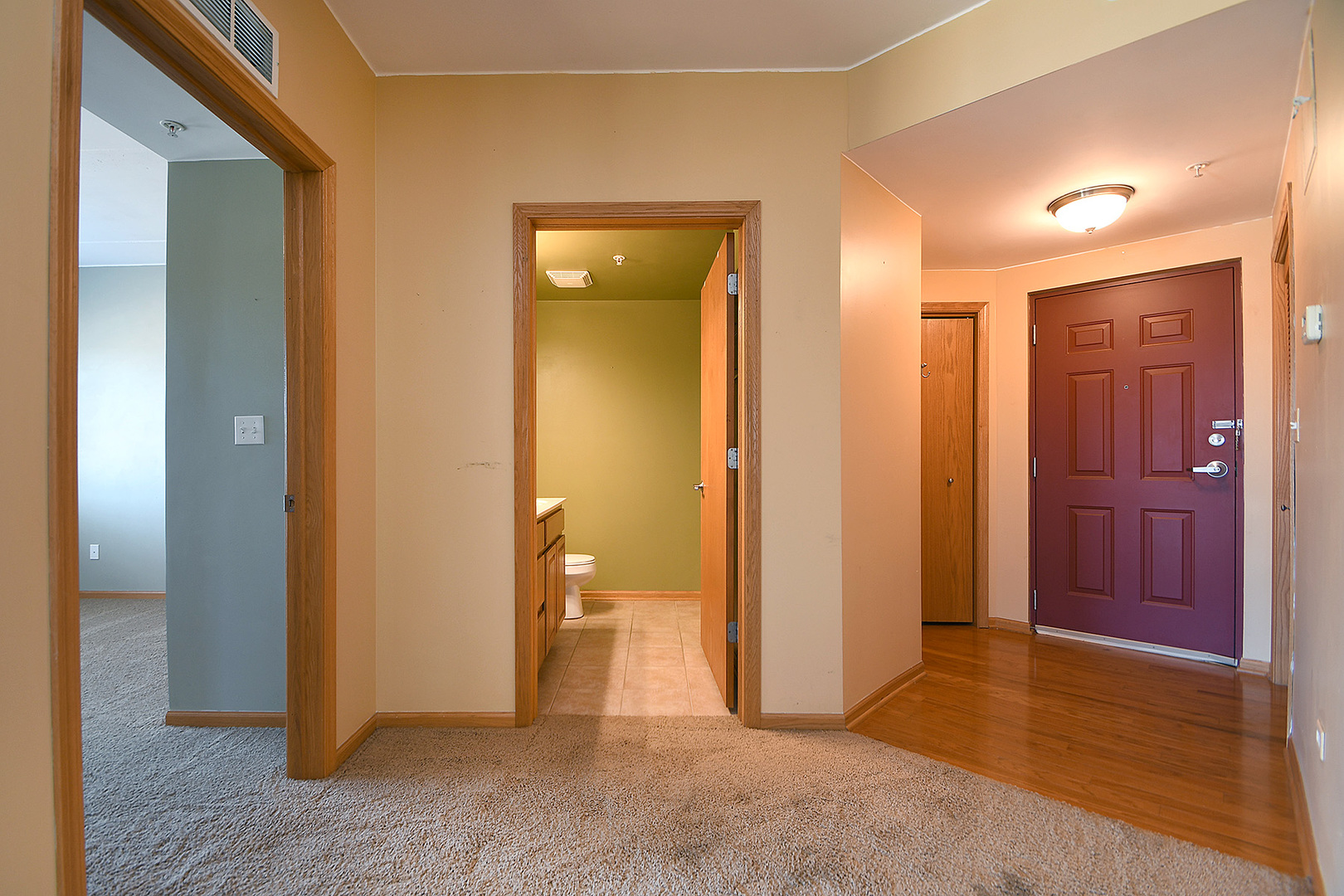 19806 Wolf Road, Unit 304 Mokena, IL 60448 - Photo 4 of 27
