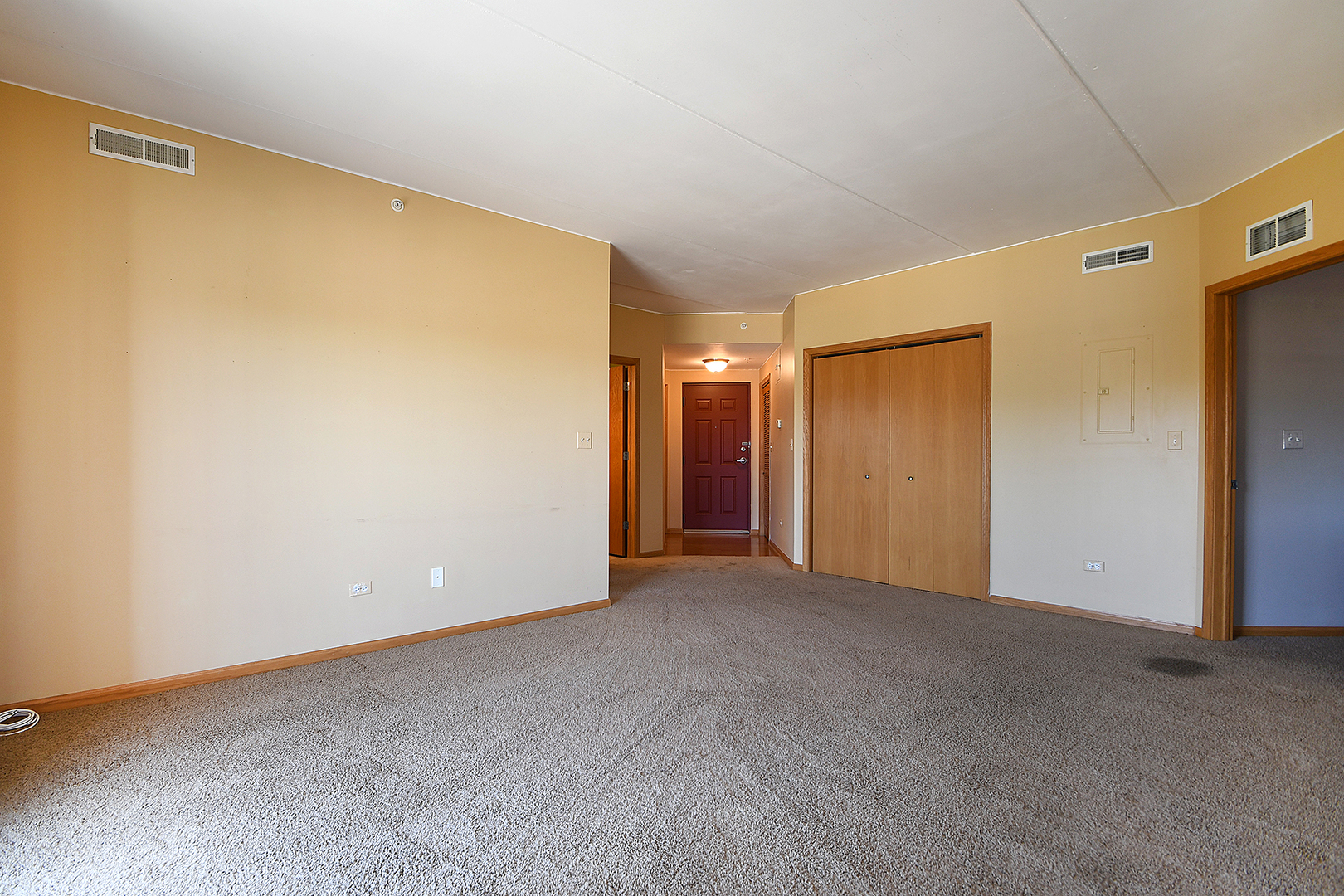 19806 Wolf Road, Unit 304 Mokena, IL 60448 - Photo 7 of 27