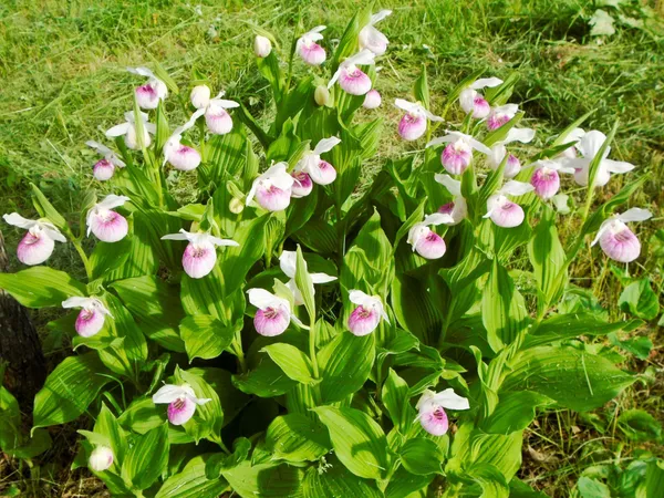 $379,900 | 21280 State Rte 92, Bagley, MN 56621