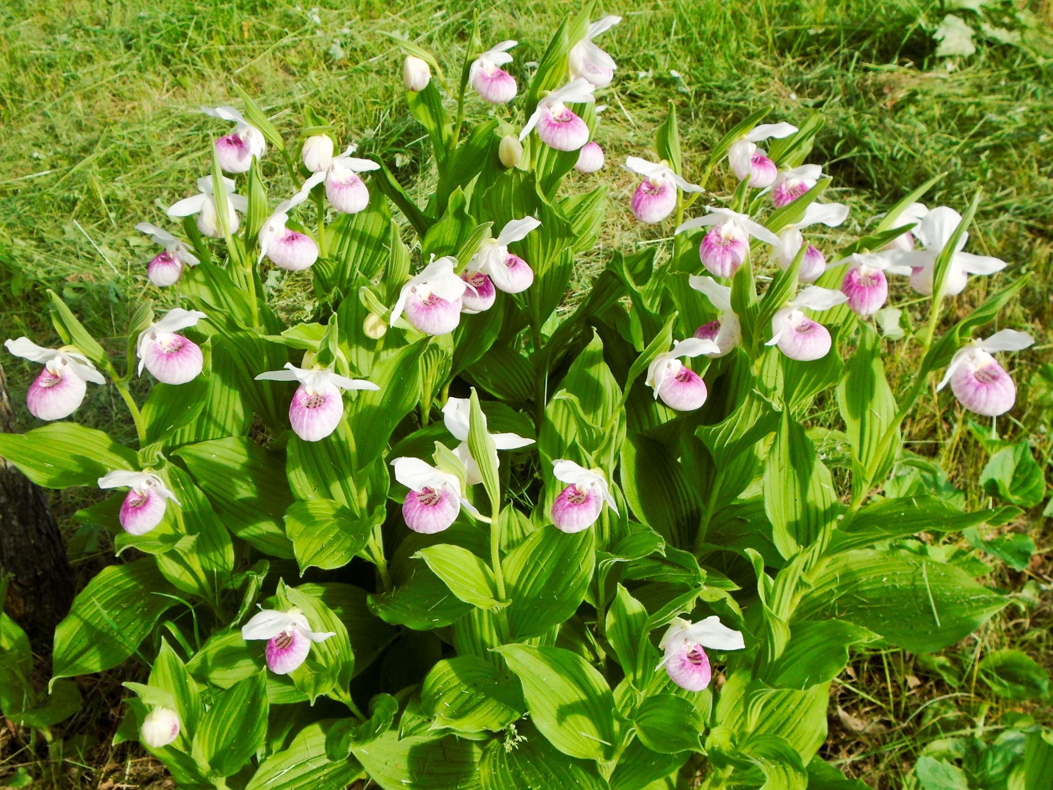 21280 State Rte 92 Bagley, MN 56621 - Photo 104 of 114