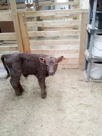 $379,900 | 21280 State Rte 92, Bagley, MN 56621