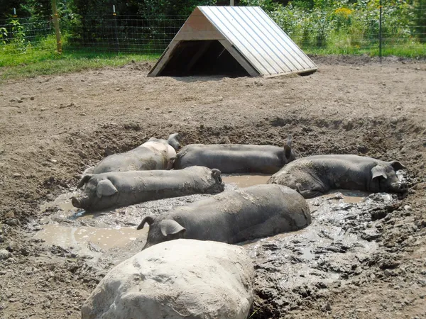 $379,900 | 21280 State Rte 92, Bagley, MN 56621