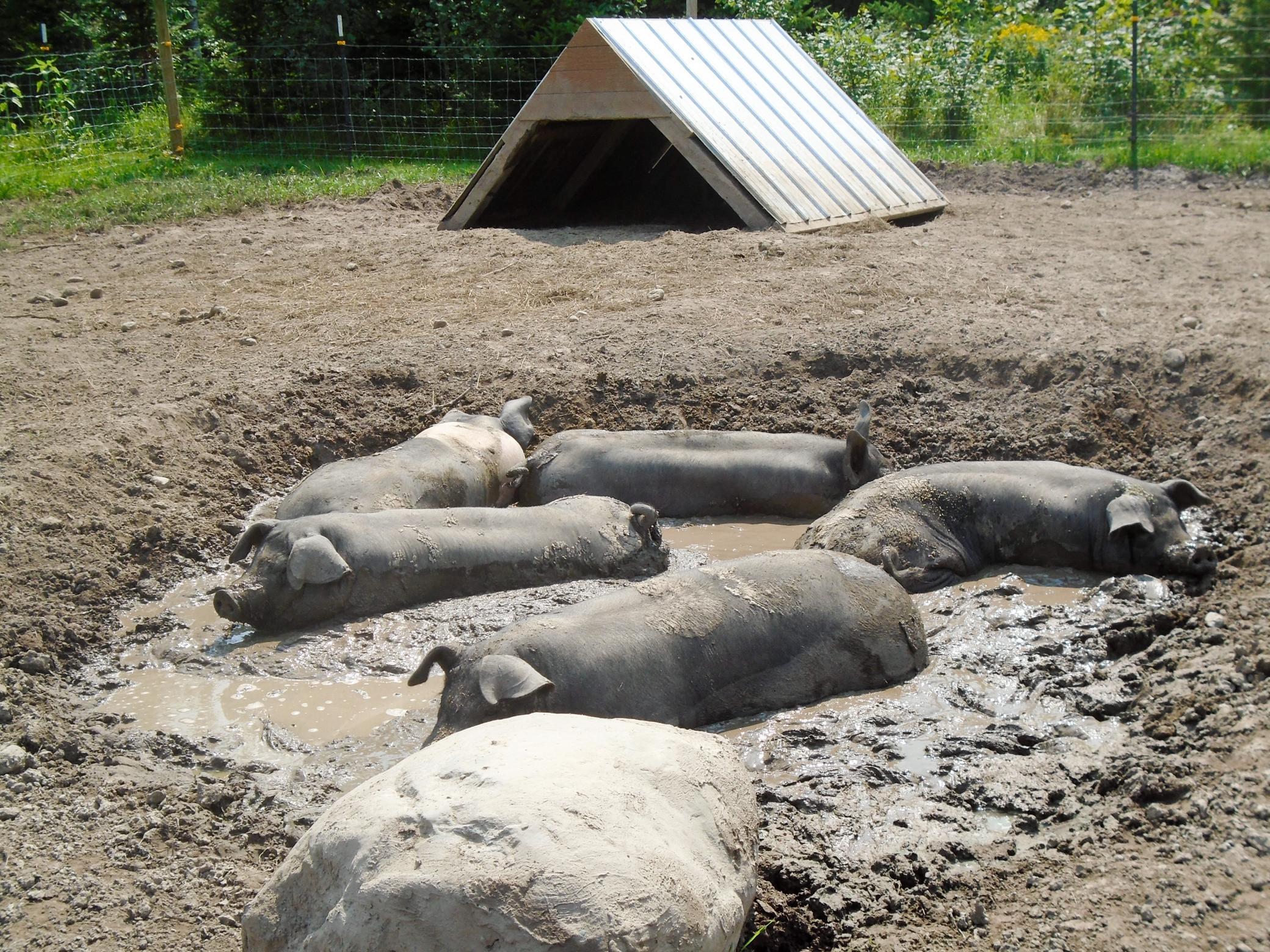 21280 State Rte 92 Bagley, MN 56621 - Photo 106 of 114