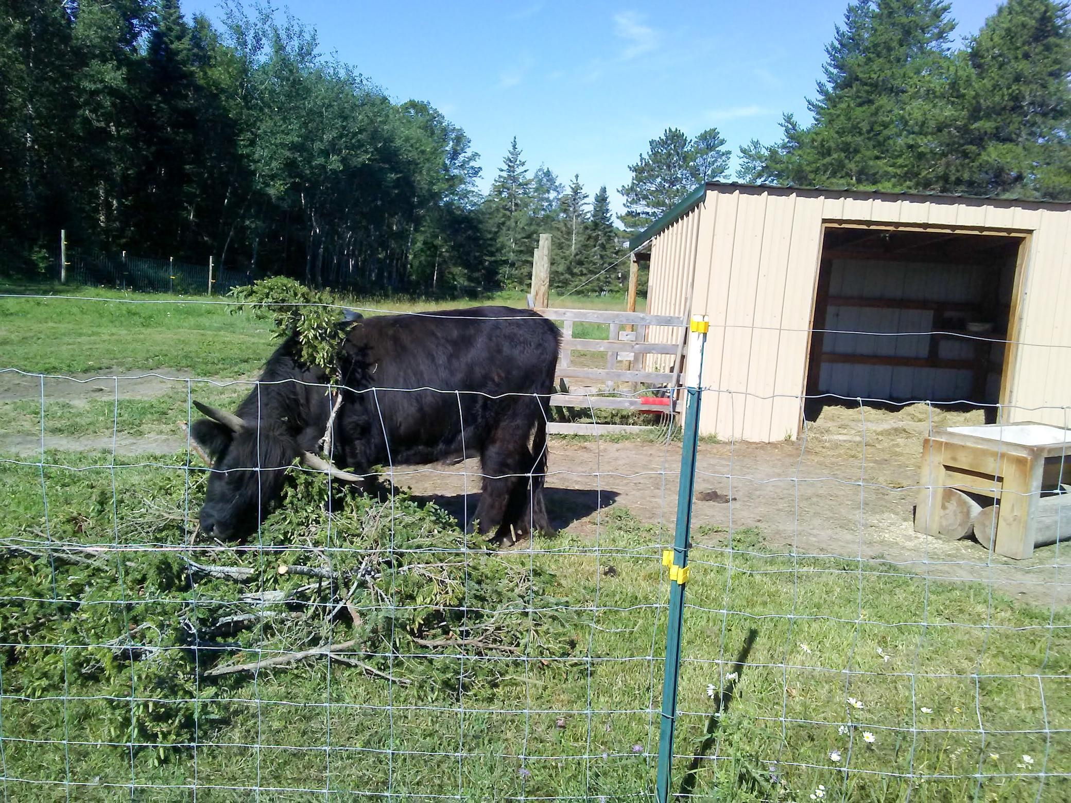 21280 State Rte 92 Bagley, MN 56621 - Photo 107 of 114