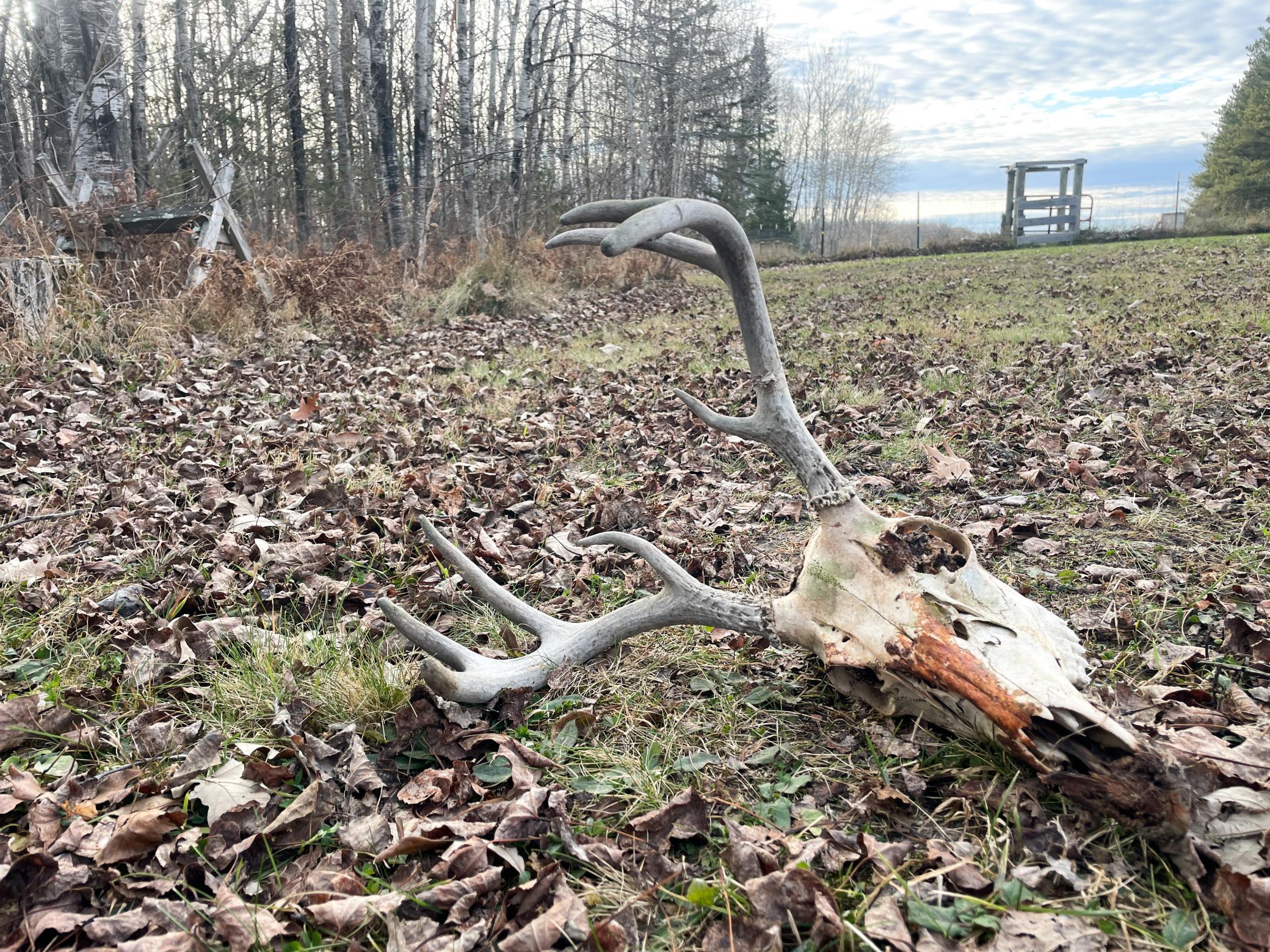 21280 State Rte 92 Bagley, MN 56621 - Photo 108 of 114