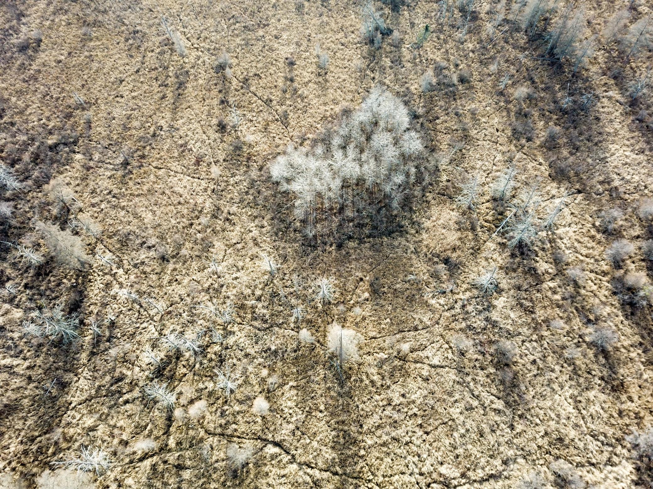 21280 State Rte 92 Bagley, MN 56621 - Photo 20 of 114