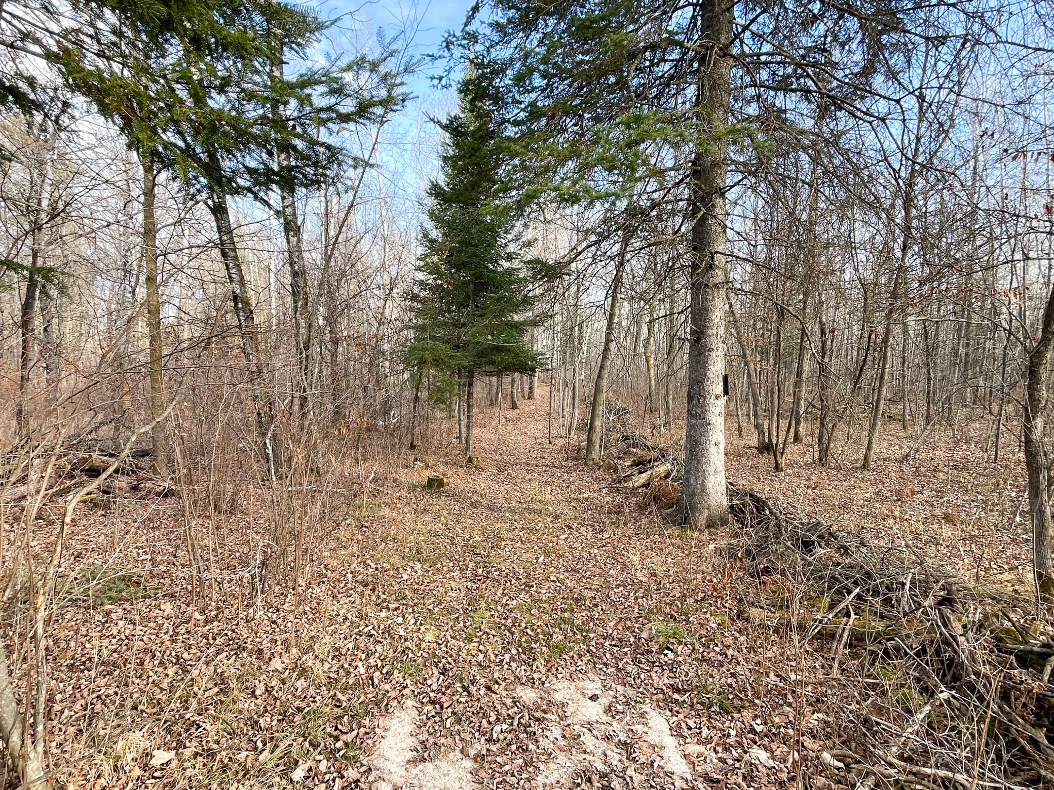 21280 State Rte 92 Bagley, MN 56621 - Photo 91 of 114