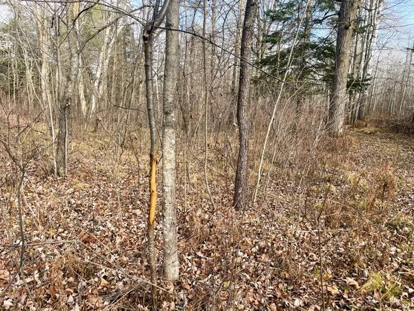 $379,900 | 21280 State Rte 92, Bagley, MN 56621