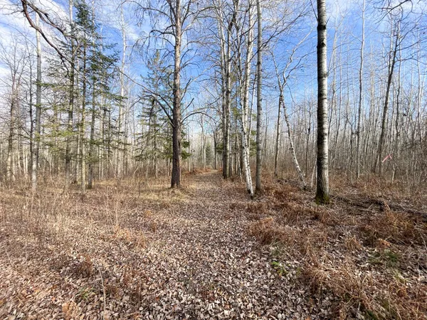 $379,900 | 21280 State Rte 92, Bagley, MN 56621