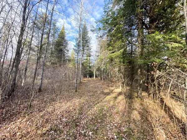 $379,900 | 21280 State Rte 92, Bagley, MN 56621