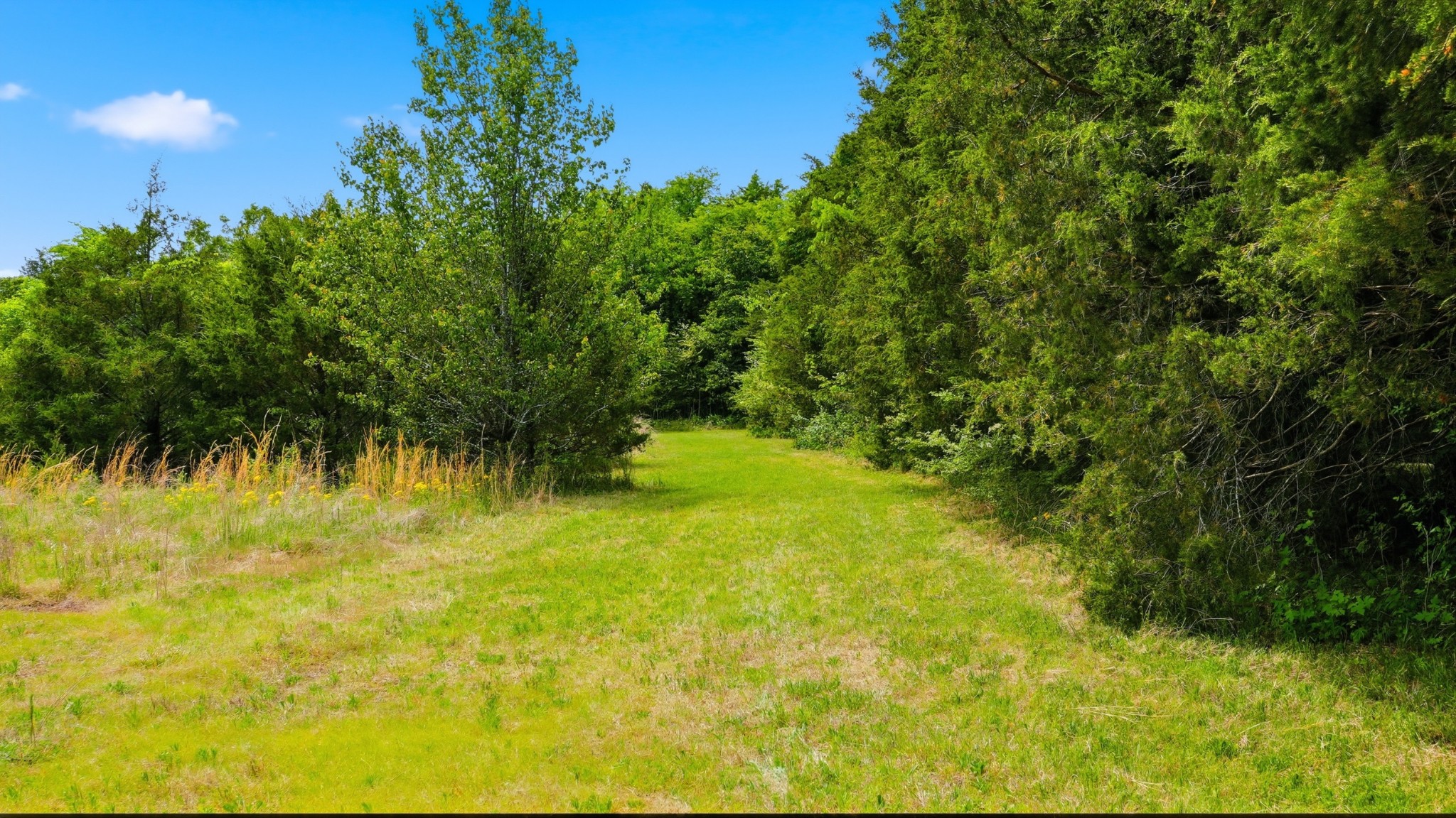 3630 West Trimble Road Milton, TN 37118 - Photo 32 of 36