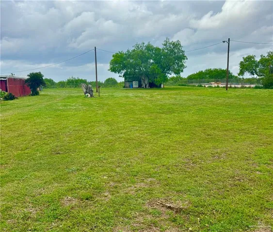 a view of a field with plants in front of it