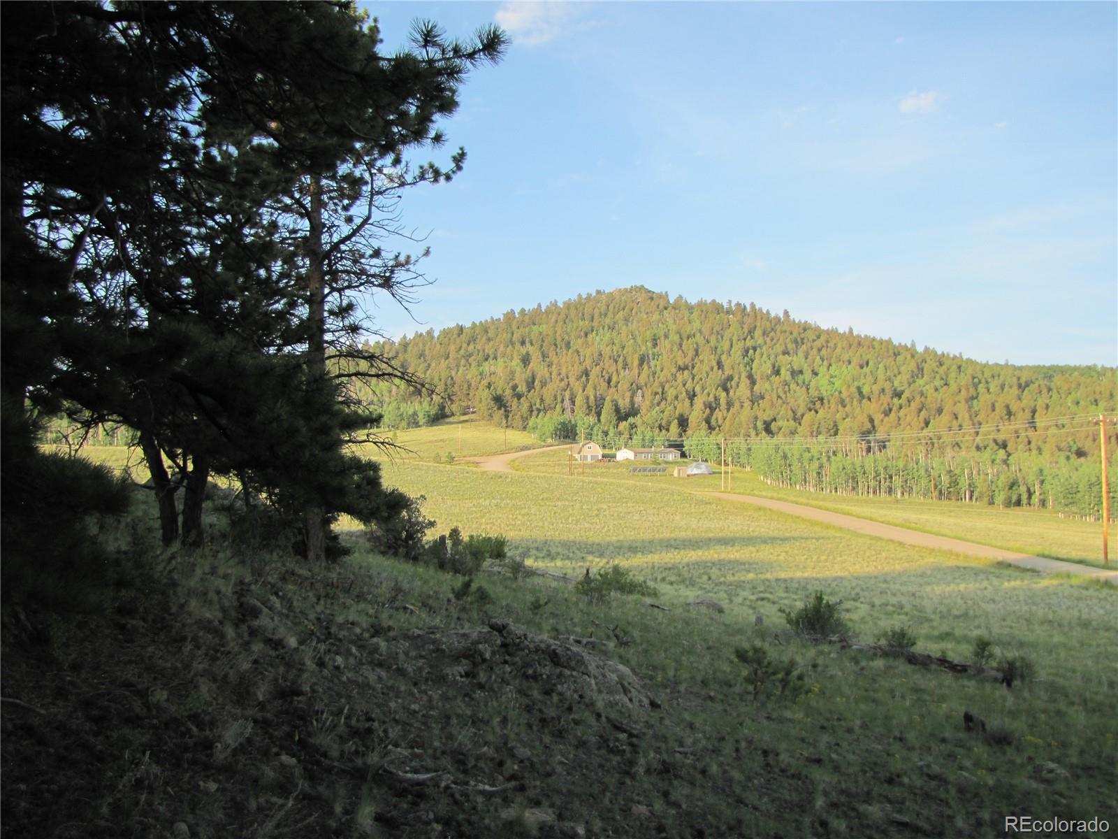 586 Tapedero Road Hartsel, CO 80449 - Photo 8 of 24 Gallery Image 8
