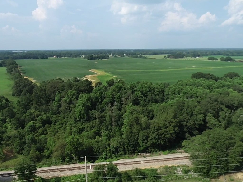 132.3-ac Green Road Dothan, AL 36303 - Photo 30 of 63