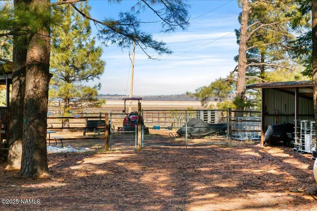 $850,000 | 535 Lots A Luck Lane, Mormon Lake, AZ 86038