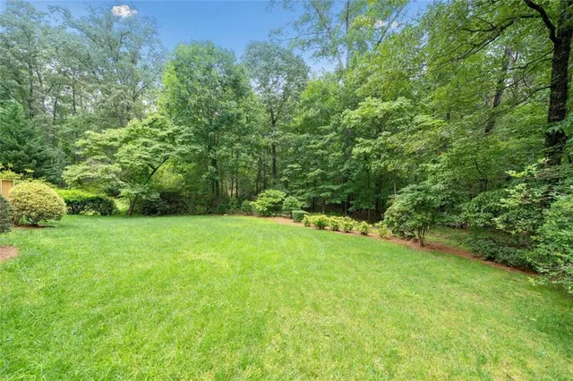 a view of a yard with plants and trees