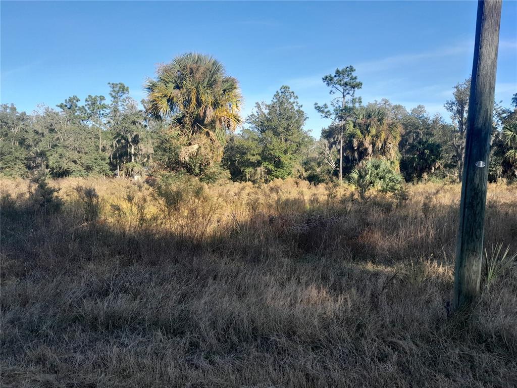 Tbd Southeast 110th Avenue Inglis, FL 34449 - Photo 4 of 5