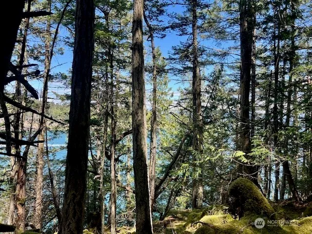 a view of outdoor space