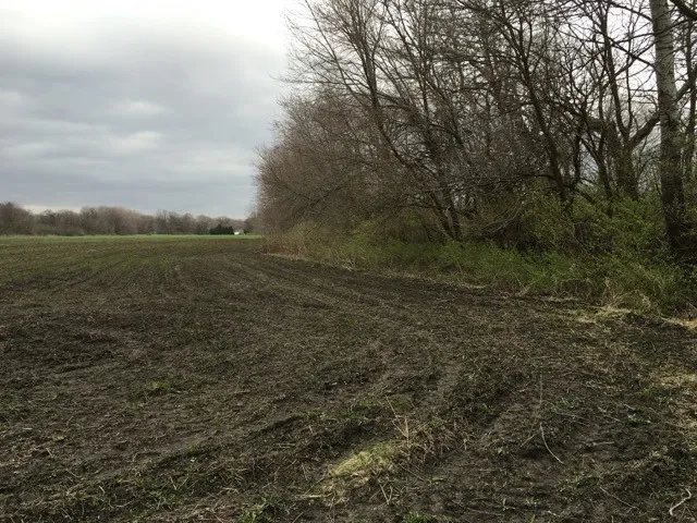 a view of a field with an outdoor space