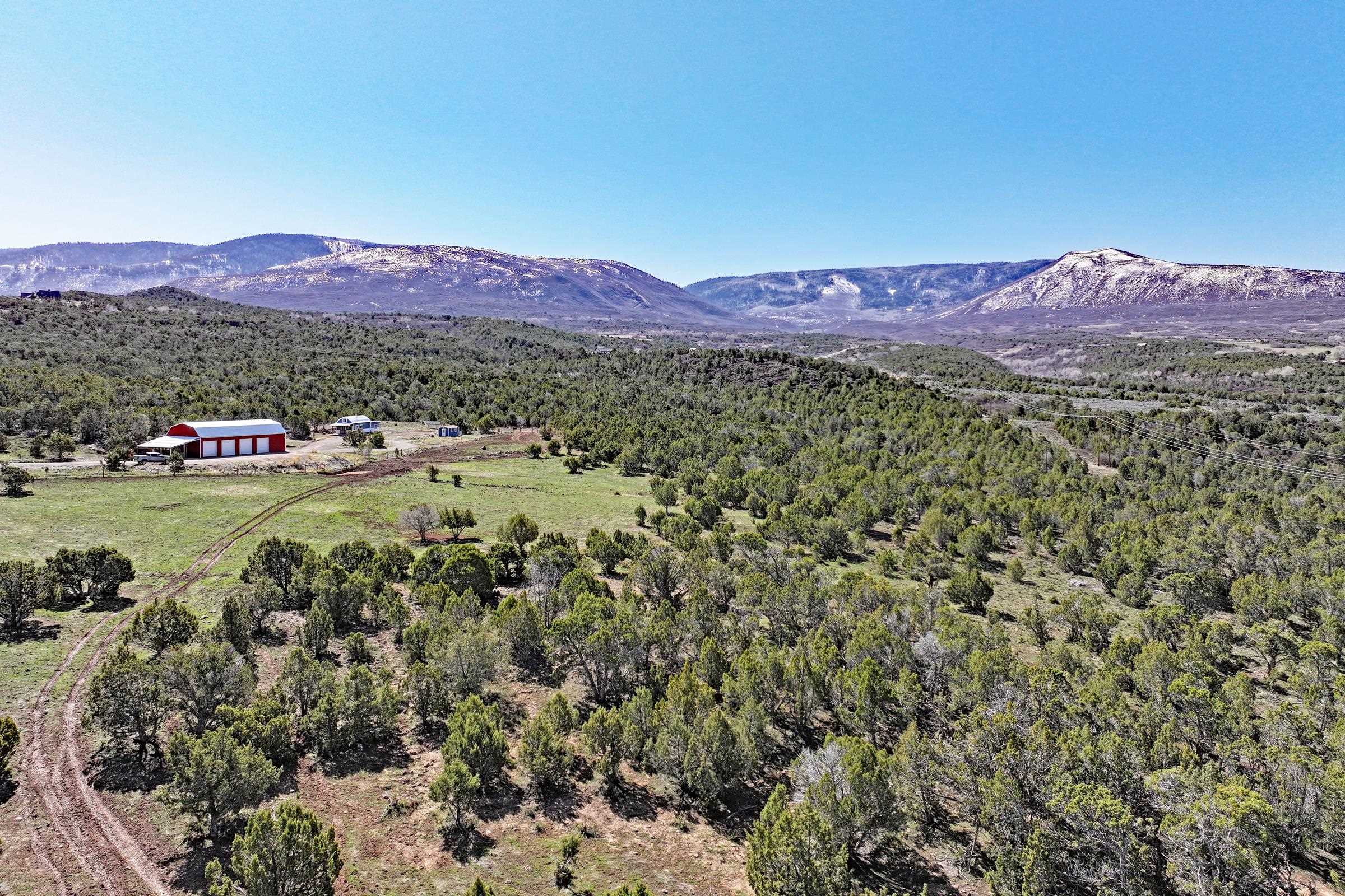 56001 KK Road Molina, CO 81646 - Photo 28 of 42 a view of a lush green field with mountains in the background