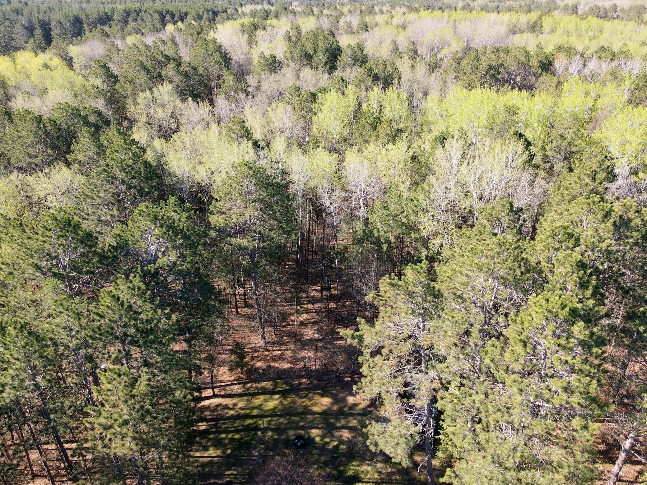 37852 Long Farm Road Pine River, MN 56474 - Photo 19 of 29 Gallery Image 19