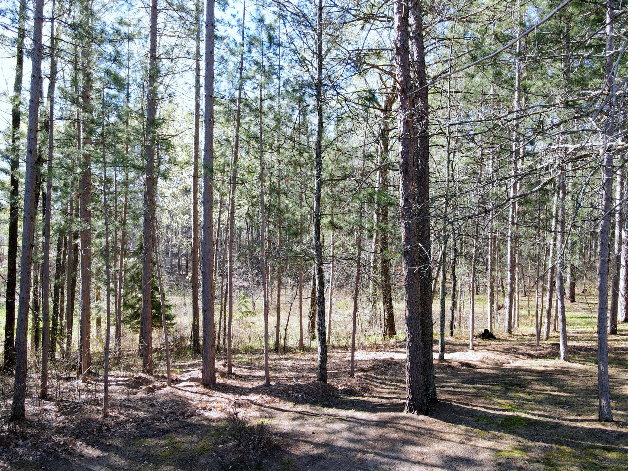 37852 Long Farm Road Pine River, MN 56474 - Photo 21 of 29 Gallery Image 21