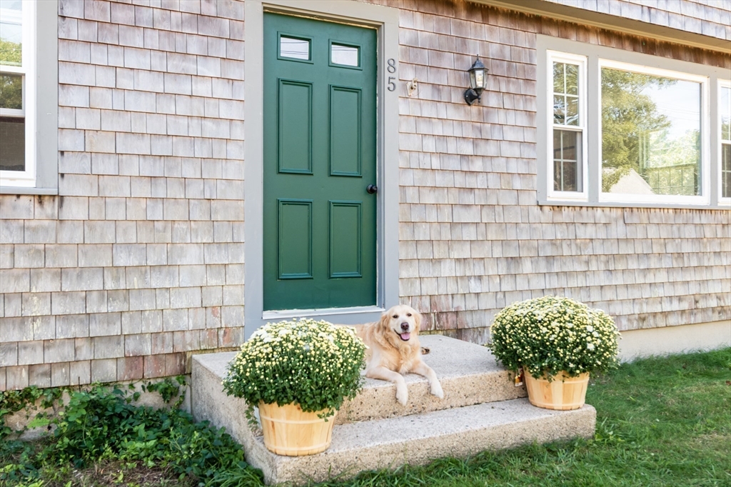 85 Huckleberry Lane Eastham, MA 02642 - Photo 5 of 35