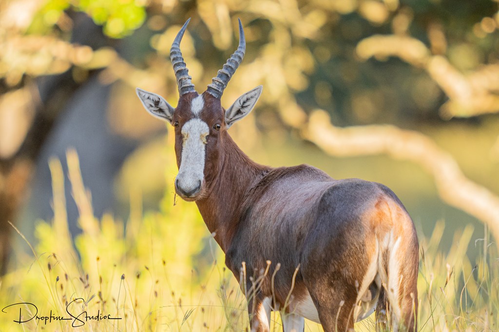 820 Bobby Shelton Ranch Road Northwest Mountain Home, TX 78058 - Photo 12 of 85
