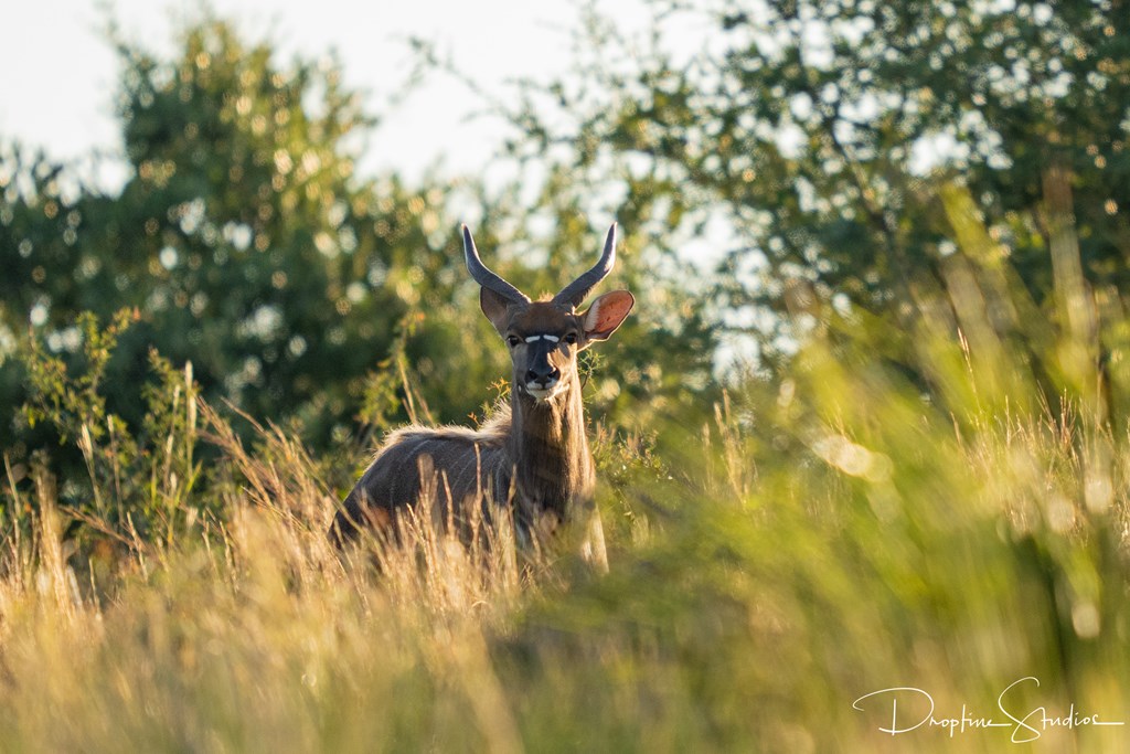 820 Bobby Shelton Ranch Road Northwest Mountain Home, TX 78058 - Photo 38 of 85