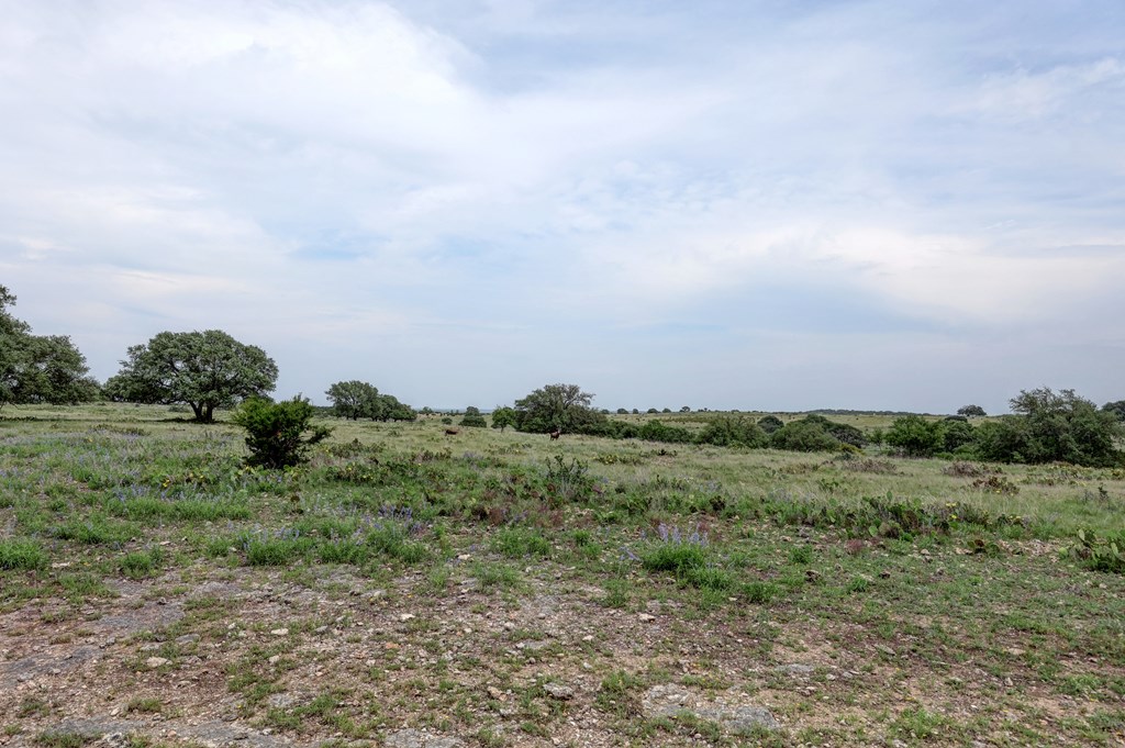 820 Bobby Shelton Ranch Road Northwest Mountain Home, TX 78058 - Photo 44 of 85