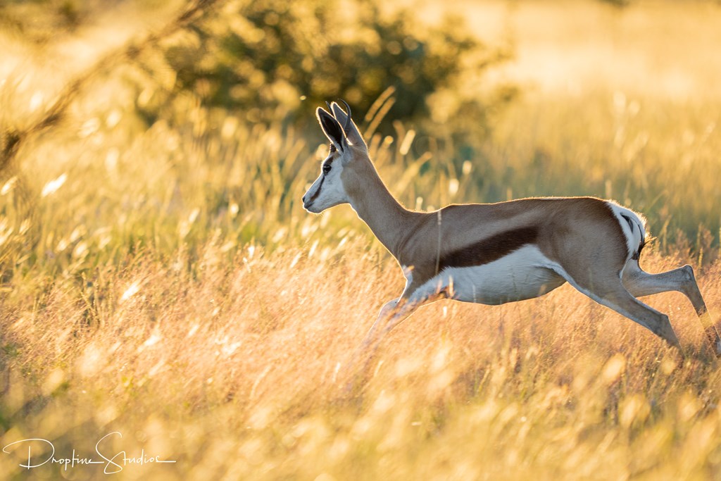 820 Bobby Shelton Ranch Road Northwest Mountain Home, TX 78058 - Photo 56 of 85