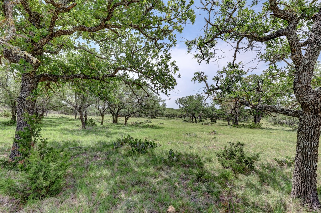 820 Bobby Shelton Ranch Road Northwest Mountain Home, TX 78058 - Photo 64 of 85 a view of an outdoor space with a lake view