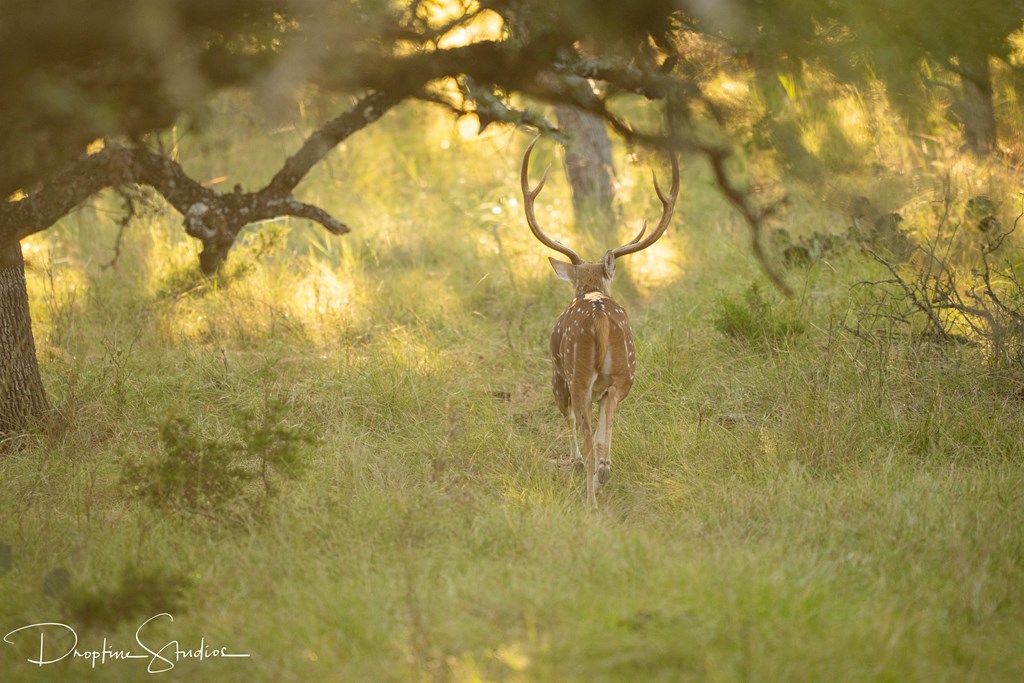 820 Bobby Shelton Ranch Road Northwest Mountain Home, TX 78058 - Photo 76 of 85 a bathroom with a shower