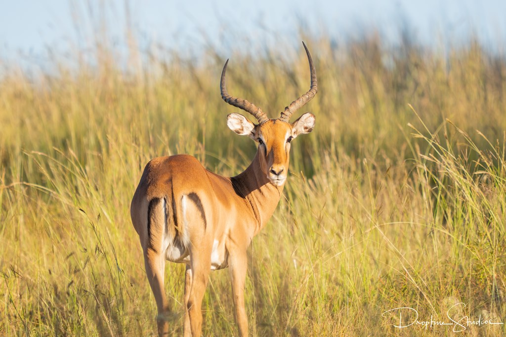820 Bobby Shelton Ranch Road Northwest Mountain Home, TX 78058 - Photo 80 of 85 a bathroom with a shower curtain