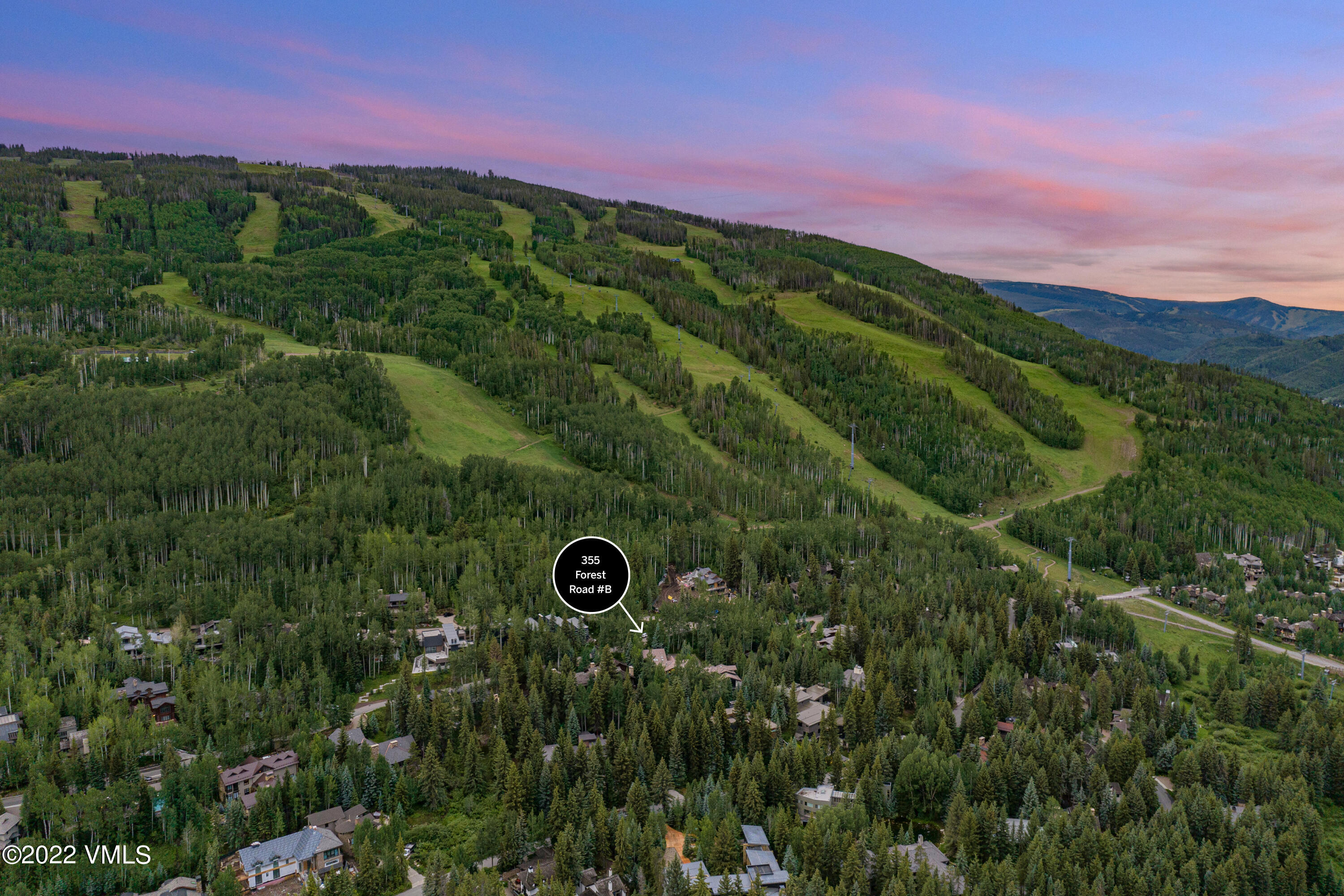355 Forest Road, Unit B Vail, CO 81657 - Photo 2 of 36 a view of a big yard with a house in the background