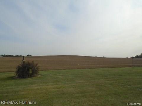 12830 Holtforth Road Fenton, MI 48430 - Photo 4 of 66 DSC02812.JPG