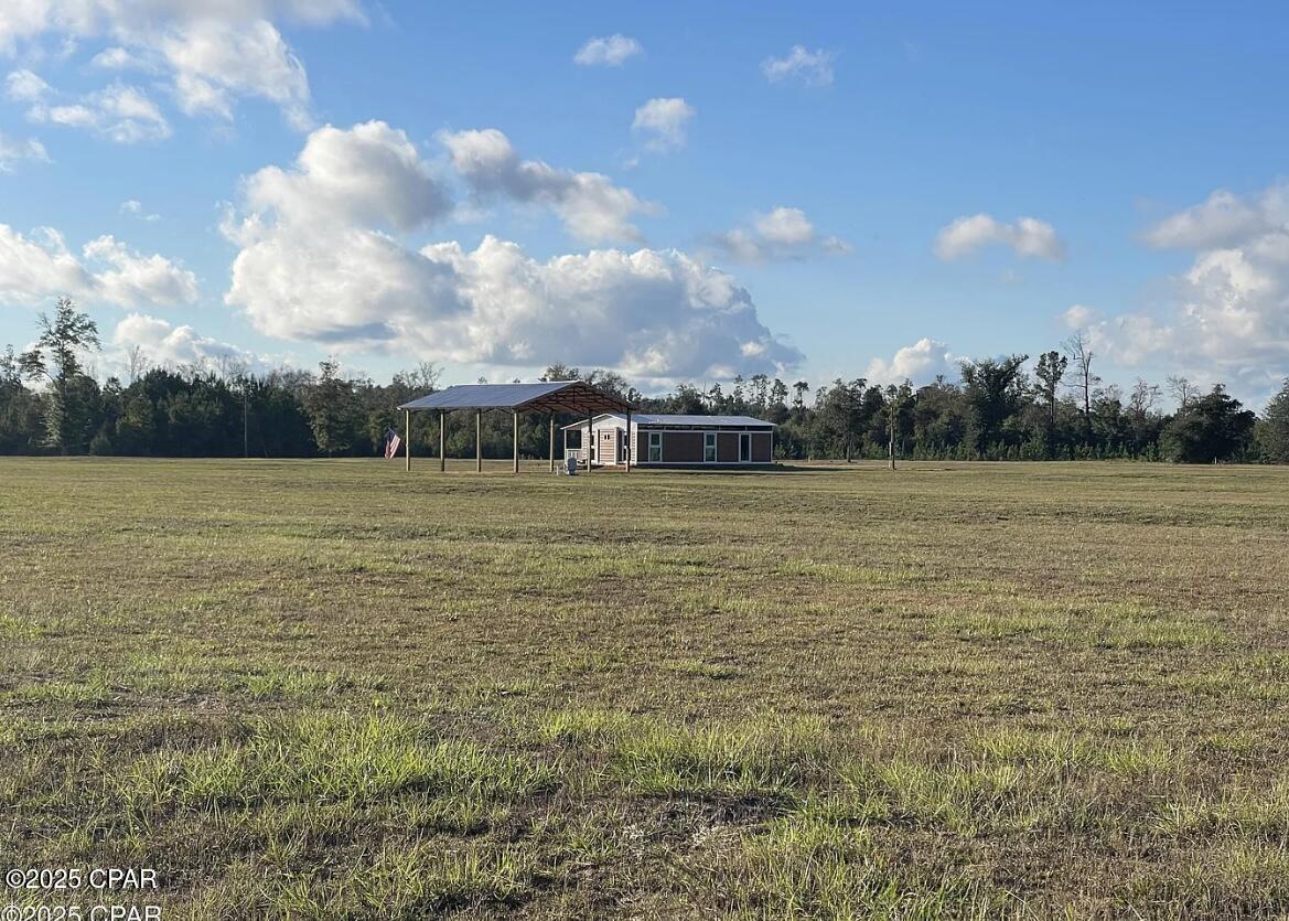 13626 Bailey Cemetery Road Clarksville, FL 32430 - Photo 3 of 38