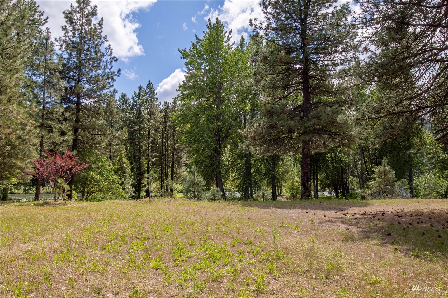 15875 River Road Leavenworth, WA 98826 - Photo 4 of 34 Gallery Image 4