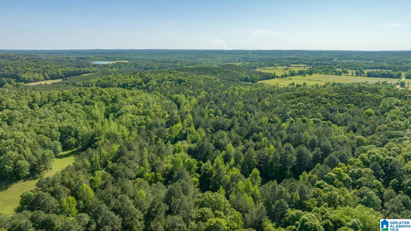 1744 County Road 63 Berry, AL 35546 - Photo 85 of 93 Gallery Image 85