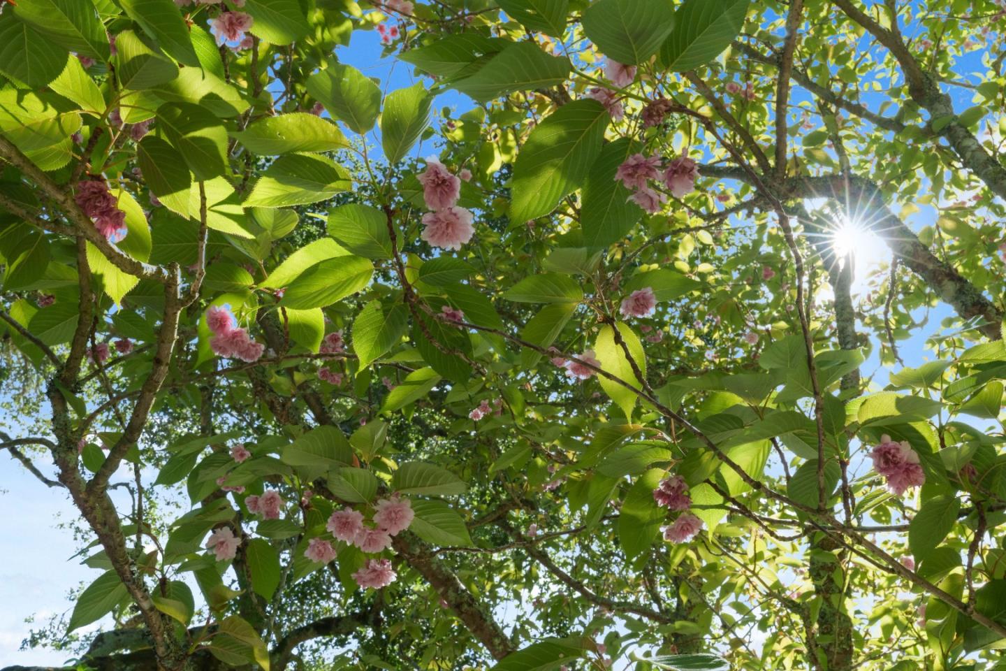 7910 Hihn Road Ben Lomond, CA 95005 - Photo 65 of 79