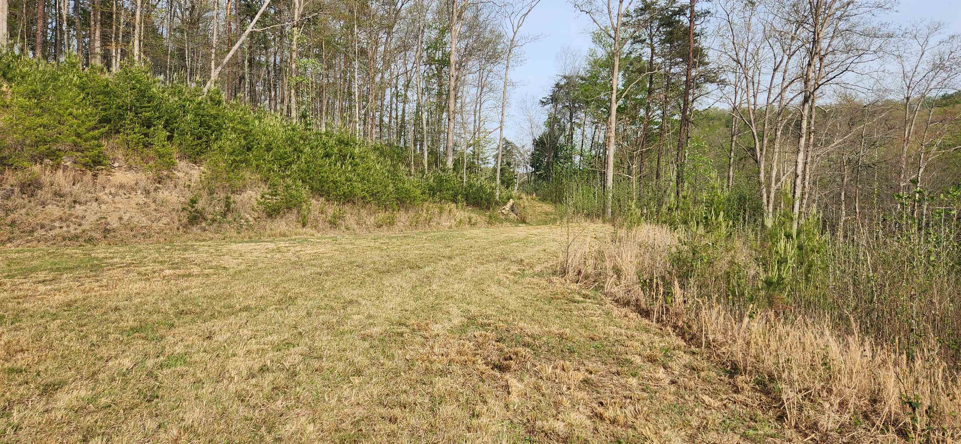 Stinson Creek Road Grayson, KY 41143 - Photo 6 of 14