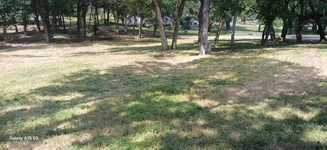 a view of park with tree