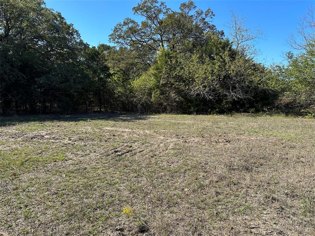 5 Co Road Greenville, TX 75402 - Photo 8 of 13 Gallery Image 8