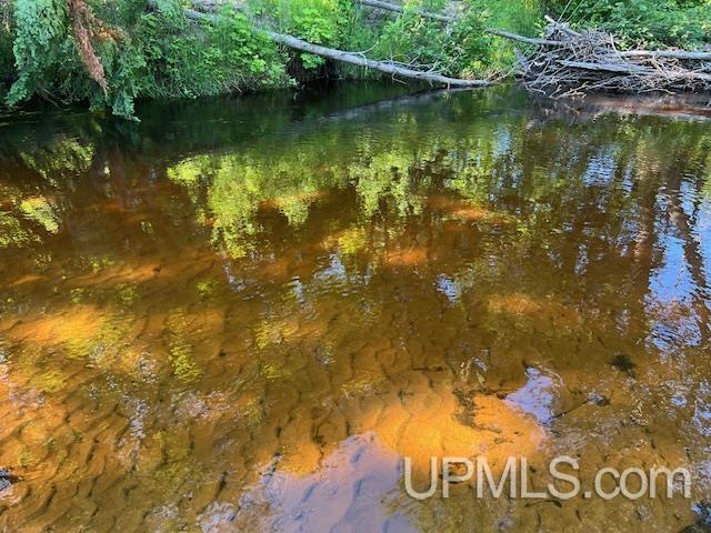 11.6 Acres Off Remington Road Marquette, MI 49855 - Photo 8 of 39