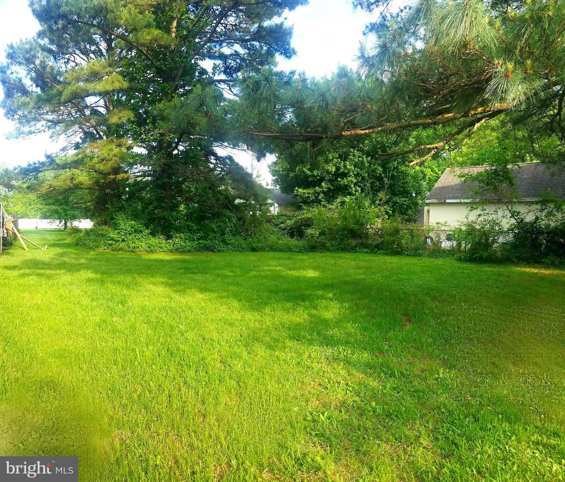 Lot #17 Long Point Road Stevensville, MD 21666 - Photo 4 of 10 from back of lot to road, nice long lot!