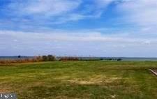 Lot #17 Long Point Road Stevensville, MD 21666 - Photo 9 of 10 Community Beach