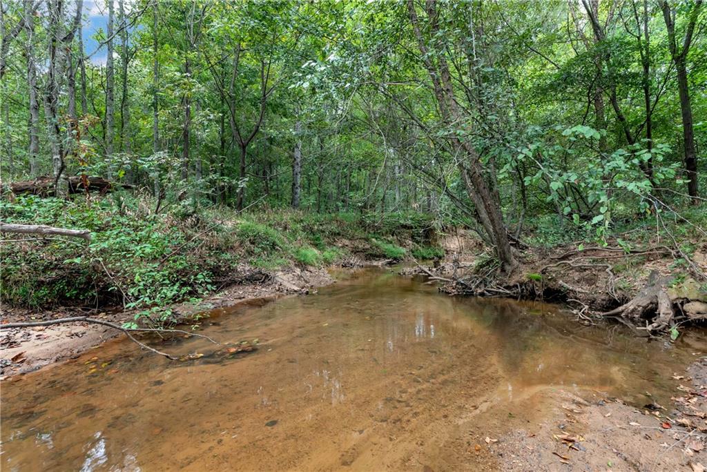 1197 Dee Kennedy Road Auburn, GA 30011 - Photo 76 of 78