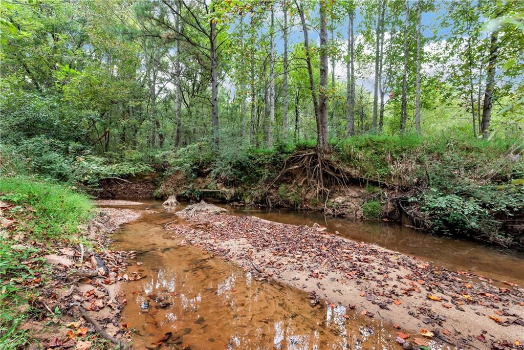 1197 Dee Kennedy Road Auburn, GA 30011 - Photo 77 of 78 a view of a pathway both side of yard