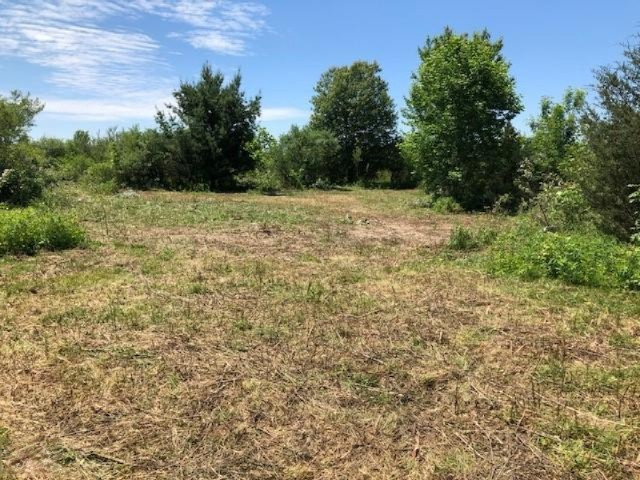 0 Warren Woods Road Lakeside, MI 49116 - Photo 2 of 17